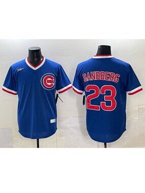 Ryne Sandberg Stitched Jersey Royal